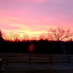 Profile Picture of Sandy lee Kirby (@sunshineacresranch) on Instagram