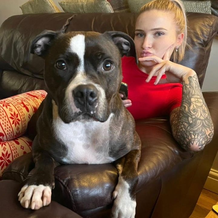 Profile Picture of Mollie (@molliegthompson) on Tiktok