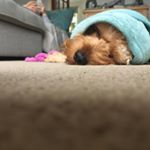 Profile Picture of Amara Williams (@_amara.williams_photography) on Instagram