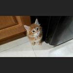 Profile Picture of david dorio (@jbond102371) on Instagram