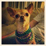 Profile Picture of Justin Karimaxima (@justinmreuter) on Instagram