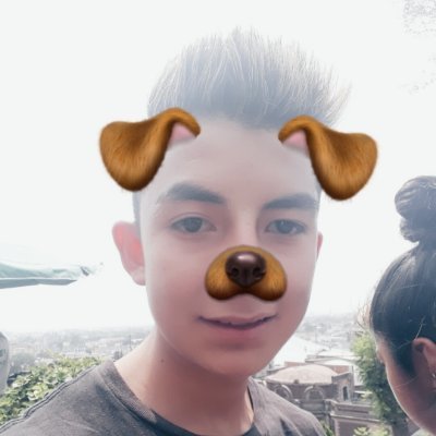 Profile Picture of Alejandro Castrejon Valdes (@CastrejonValdes) on Twitter