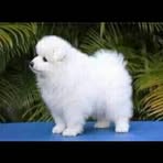 Profile Picture of Connie Munuhe (@Connie-Munuhe) on Facebook