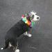Profile Picture of Christina Hostler (@christinamyers) on Pinterest