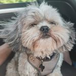 Profile Picture of carl latham (@carl5765) on Instagram