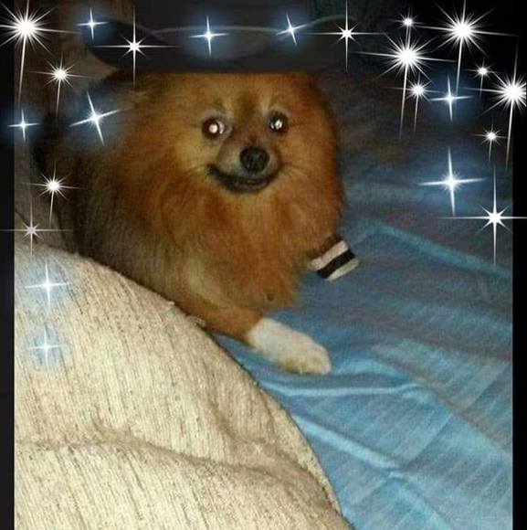 Profile Picture of William Luton (@lutonwilliam) on Poshmark