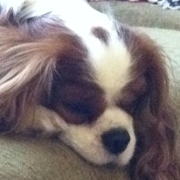 Nancy Hulon - Poshmark Profile Picture of Nancy Hulon (@nlhulon) on Poshmark