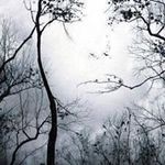 Profile Picture of Randy Meadows (@randymeadows.rm) on Instagram