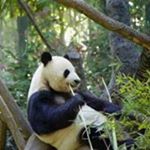 Profile Picture of James Hennessey (@biggame_james12) on Instagram