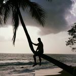 Profile Picture of Steven Tunnell (@drstevetunnell) on Instagram