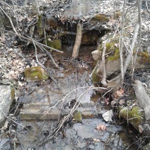 Profile Picture of Meredith Rivera (@Meredit01892275) on Twitter