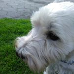 Profile Picture of Aleksander Chabiński (@aleksanderchab) on Instagram