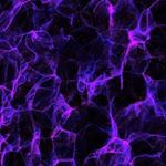 Profile Picture of Katlego.Mabusela🇿🇦 (@bhad.baarbie) on Instagram