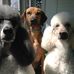 Profile Picture of Deb English (@deb.english.581) on Facebook
