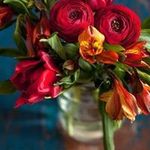 Profile Picture of Daniel Bodea (@daniel.bodea.92505) on Instagram