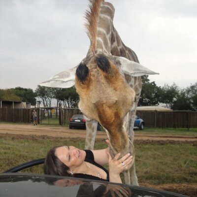 Profile Picture of Racquel White (@RockAtDiversey) on Twitter