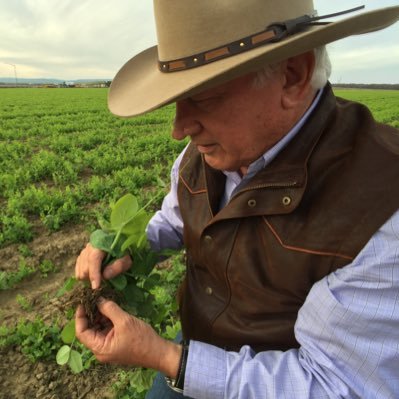 Profile Picture of Westside Farmer (@JoeDelBosque) on Twitter