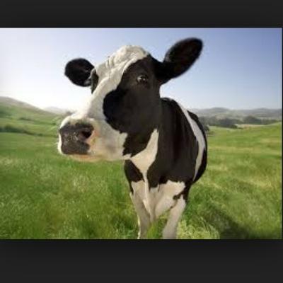 Profile Picture of Joe Forshaw (@JoeForshaw4) on Twitter