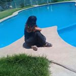 Profile Picture of ariadna morales (@ariadna_mrls) on Instagram