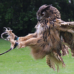 Profile Picture of Lisa Hudson (@lisahud82) on Flickr