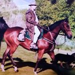 Profile Picture of Brian Dagg (@daggy684) on Instagram