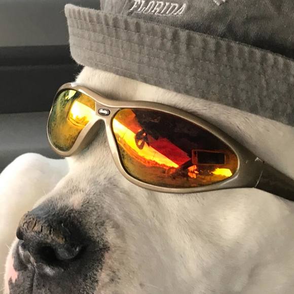Profile Picture of Steve Principe (@4reliablerepair) on Poshmark