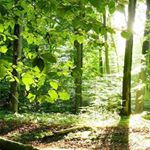 Profile Picture of Andre Couturier (@andre.couturier.50) on Instagram