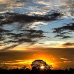 Profile Picture of Erika Wiggins (@sikagabelb93) on Instagram