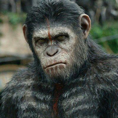Profile Picture of David Helmick (@HelmickDavid) on Twitter