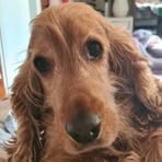 Profile Picture of Graham Hutson (@graham.hutson) on Facebook