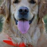 Profile Picture of Julia Gandara Higuera (@gandarahiguera_julia) on Instagram