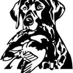 Profile Picture of Daniel Vrana (@d.vrana) on Instagram