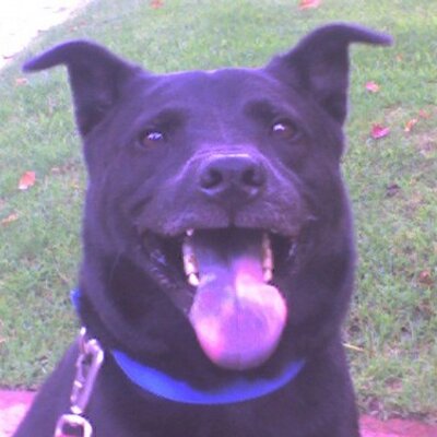 Profile Picture of Mark Hardaway (@MarkRHardaway) on Twitter