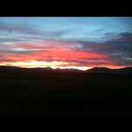 Profile Picture of Kim Scudder (@kimscudder) on Instagram