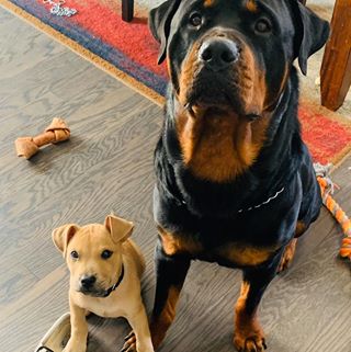 Profile Picture of Jeremy London (@jeremy.london.3720) on Facebook