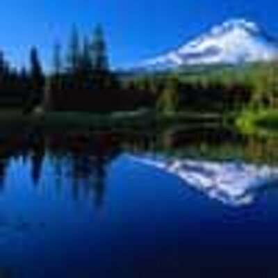 Profile Picture of Dan Gering (@dangerhood) on Twitter