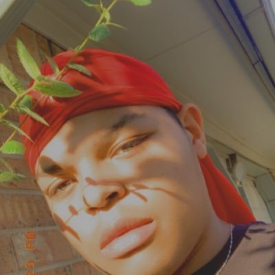 Profile Picture of Devin Nickerson (@bigboidevo) on Twitter