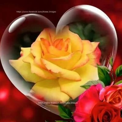 Profile Picture of Juan Rizal (@JuanRizal4) on Twitter