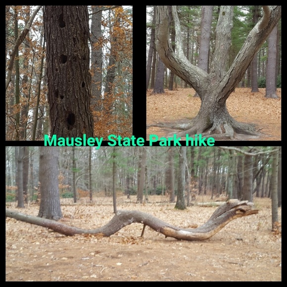 Profile Picture of Jean Gaudioso (@jeangaudioso) on Poshmark