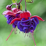 Profile Picture of Laura Y Lin (@Laura Y Lin) on Flickr