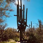 Profile Picture of Lauri Drager (@lauridrager) on Instagram