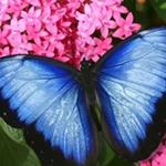 Profile Picture of Andrea Vári (@andrea.vari.31) on Instagram