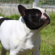 Brian Larsson - Youtube Profile Picture of Brian Larsson (@verner1967) on Youtube