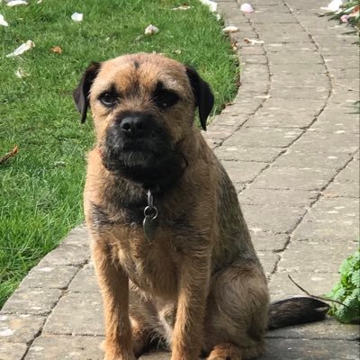 Profile Picture of Deborah Weir (@debweir566) on Twitter