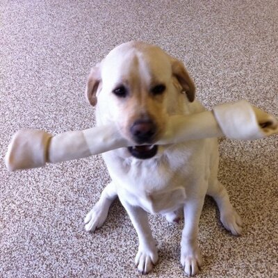 Profile Picture of Sampson Zachary (@Sampi_Zachary) on Twitter