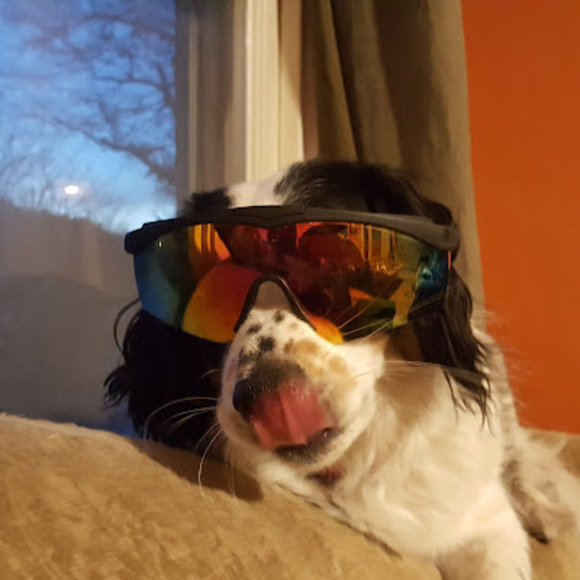 Profile Picture of Tyler Morrow (@tylermorrow789) on Poshmark