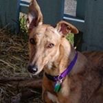 Profile Picture of Michael Elenz (@elenzmichael) on Instagram