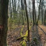 Profile Picture of 𝓜𝓪𝓻𝓽𝓲𝓷 𝓑ö𝓱𝓶 (@_martinboehm) on Instagram