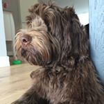 Profile Picture of Miranda Groothuizen (@mgroothuizen73) on Instagram