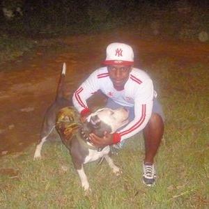 Profile Picture of Johan Paz (@johanpaz42) on Twitter